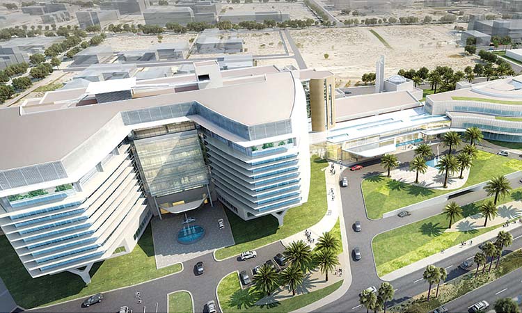 New Project Development in the UAE