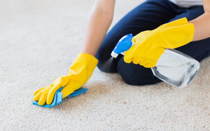 101 Carpet Cleaning