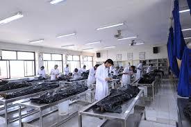 Some reasons why Indian students should consider studying MBBS in the Philippines